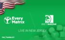 https://www.thegamblest.com/everymatrix-to-work-with-betmgm-in-the-u-s/