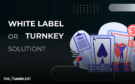 https://www.thegamblest.com/white-label-vs-turnkey-igaming-platforms/