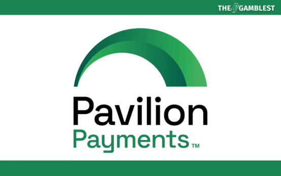 Pavilion Payments points Dan Connors as CEO