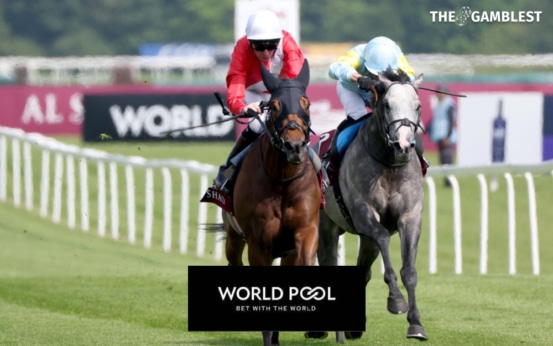 Record World Pool turnover on Lockinge Stakes Day at Newbury
