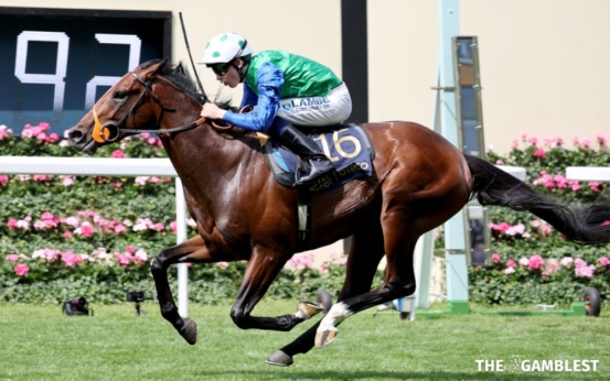 World Pool crowns new record Win dividend at Royal Ascot