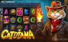 https://www.thegamblest.com/bgaming-curls-up-with-bountiful-bonus-games-in-catdiana/