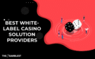 https://www.thegamblest.com/best-white-label-casino-solution-providers/