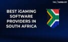 https://www.thegamblest.com/best-igaming-software-providers-in-south-africa/