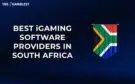Best iGaming Software Providers in South Africa