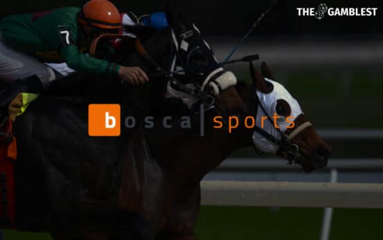 Irish technology innovator BoscaSports acquires leading video streaming and data solutions company 2DB