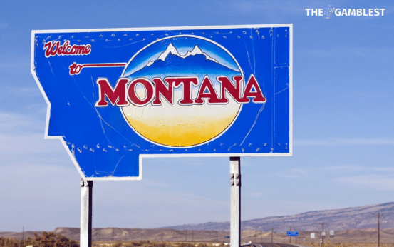 Montana teams up with Gaming Compliance International to tackle illegal gambling