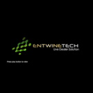 Logo - EntwineTech