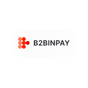 B2BINPAY