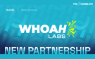 Hub88 signs content deal with Whoah Labs to distribute cross-vertical portfolio