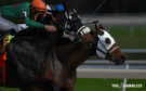 Najidi Storm suffers record loss at 1/33