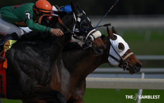 Najidi Storm suffers record loss at 1/33